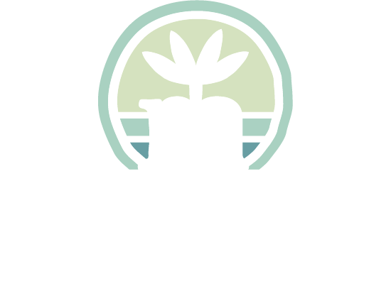 Mangrove Investor Logo