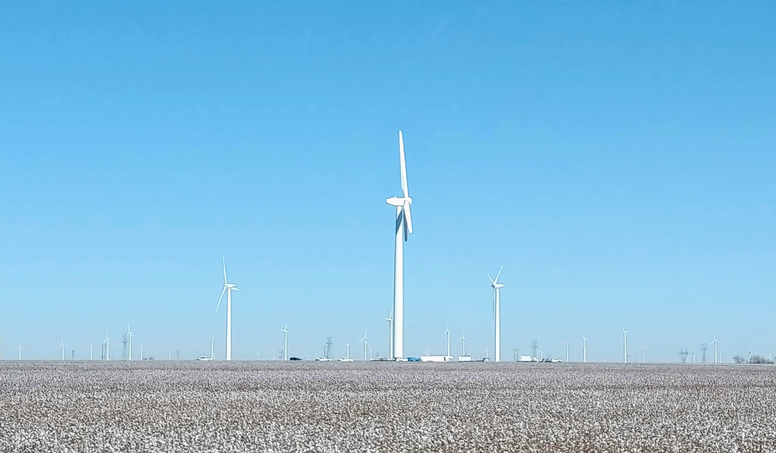 Image showing windmills on the plains of Texas.