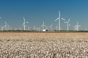 Wind Turbines Alternative Energy Texas Cotton Field Agriculture