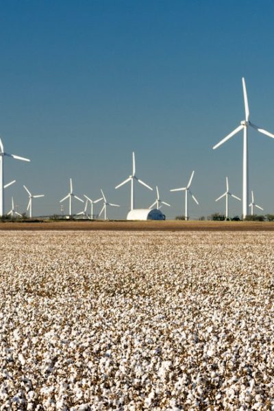 Wind Turbines Alternative Energy Texas Cotton Field Agriculture