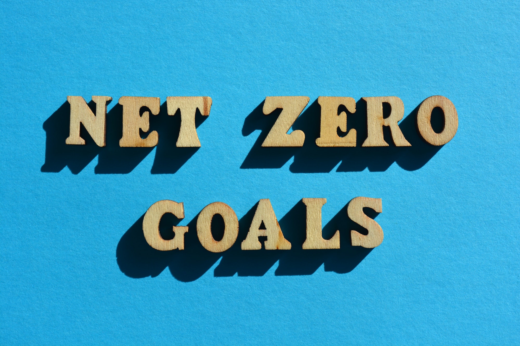 Net Zero Goals, phrase as banner headline