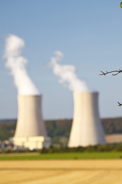 Nuclear Power Station And Apple Tree